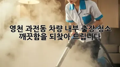 영천 과전동 차량 내부 출장 청소 : 깨끗함을 되찾아 드립니다!