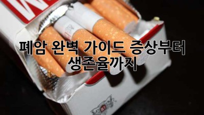 폐암 완벽 가이드: 증상부터 생존율까지 💯