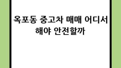 거제 옥포동 중고차🚗 최신 트렌드 & 꿀팁 대방출!